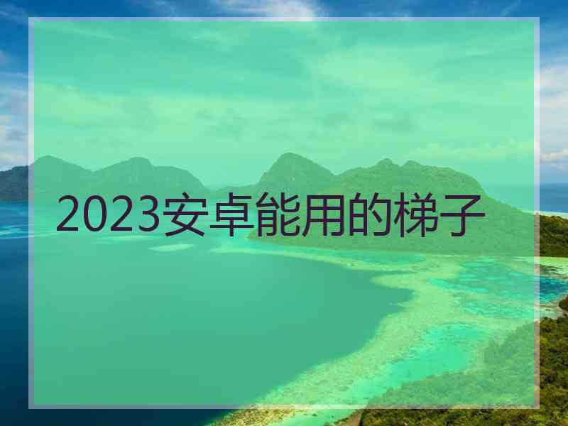 2023安卓能用的梯子