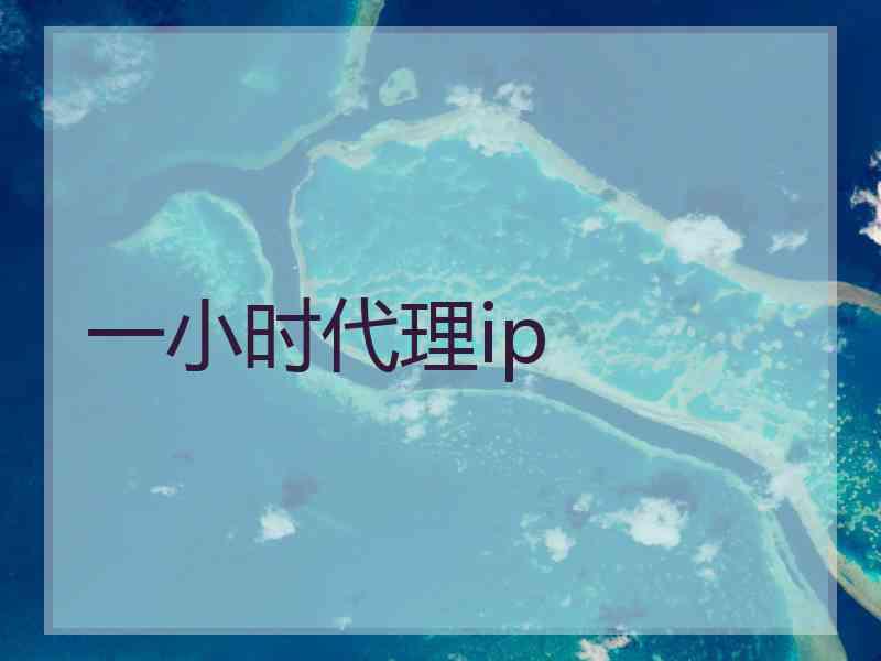 一小时代理ip