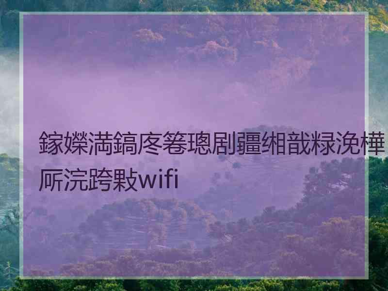 鎵嬫満鎬庝箞璁剧疆缃戠粶浼樺厛浣跨敤wifi