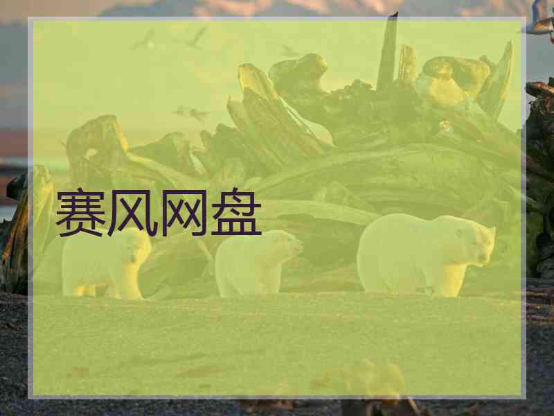 赛风网盘