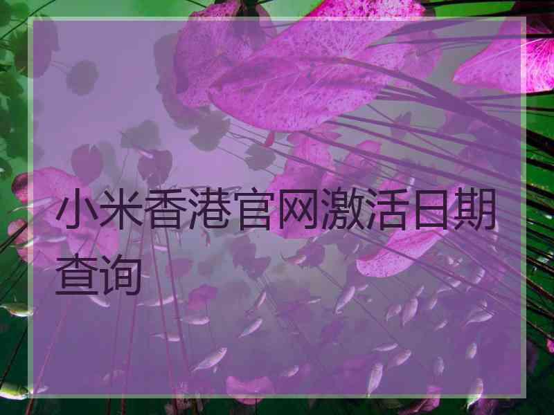 小米香港官网激活日期查询