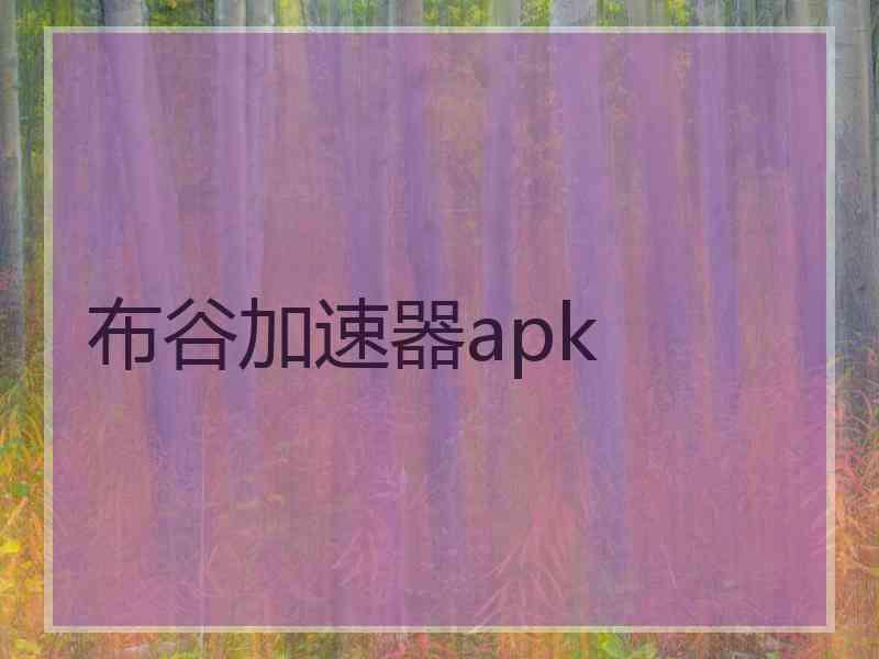 布谷加速器apk