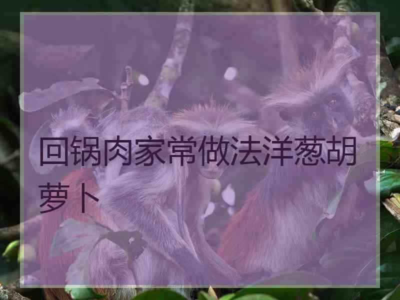 回锅肉家常做法洋葱胡萝卜
