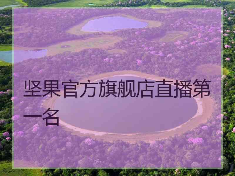 坚果官方旗舰店直播第一名
