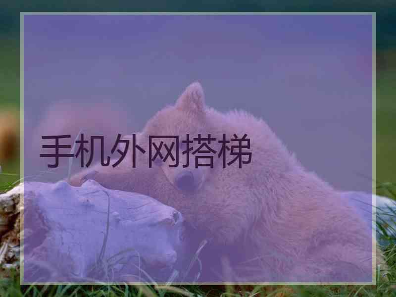 手机外网搭梯