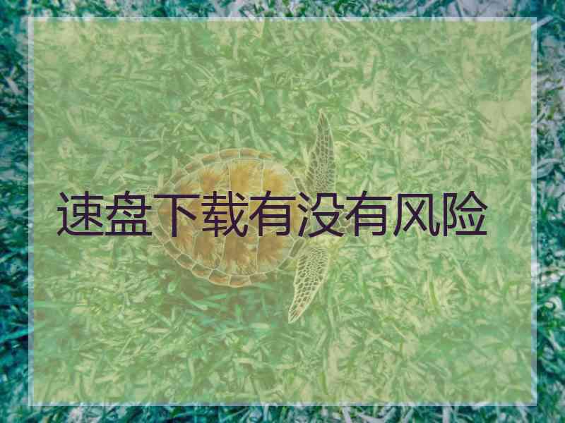 速盘下载有没有风险