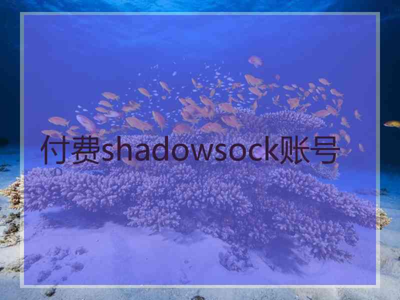 付费shadowsock账号