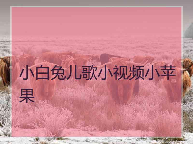 小白兔儿歌小视频小苹果