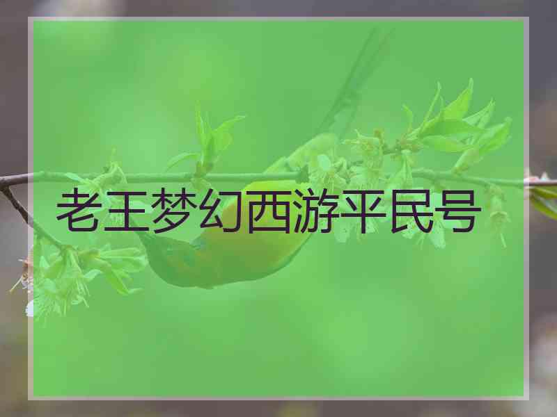 老王梦幻西游平民号
