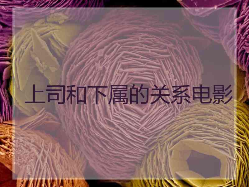 上司和下属的关系电影