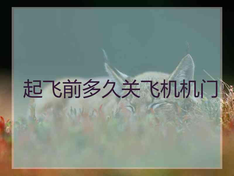 起飞前多久关飞机机门