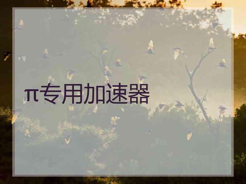 π专用加速器
