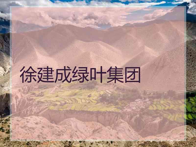 徐建成绿叶集团
