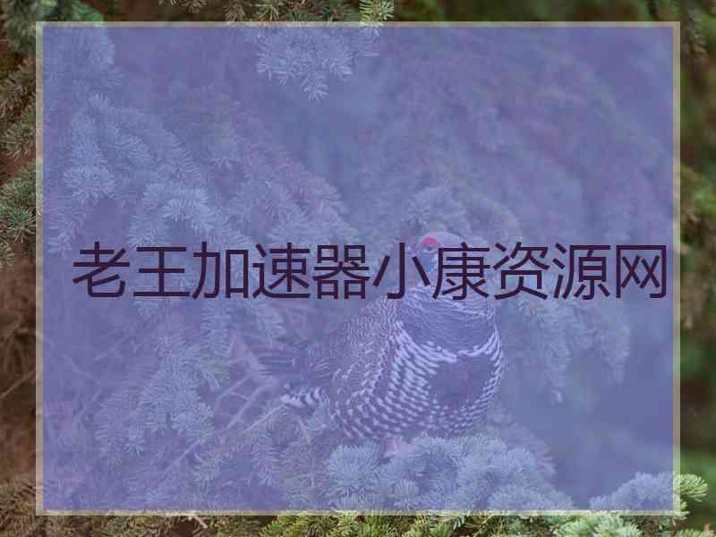 老王加速器小康资源网
