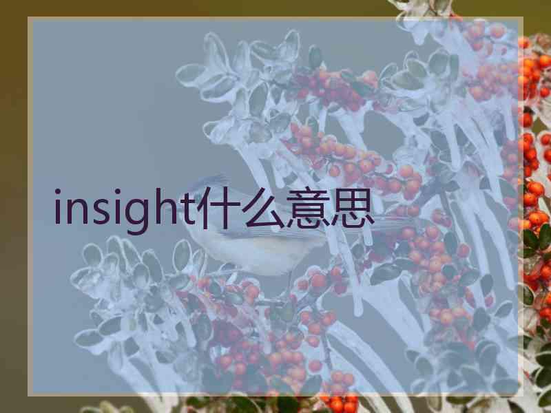 insight什么意思
