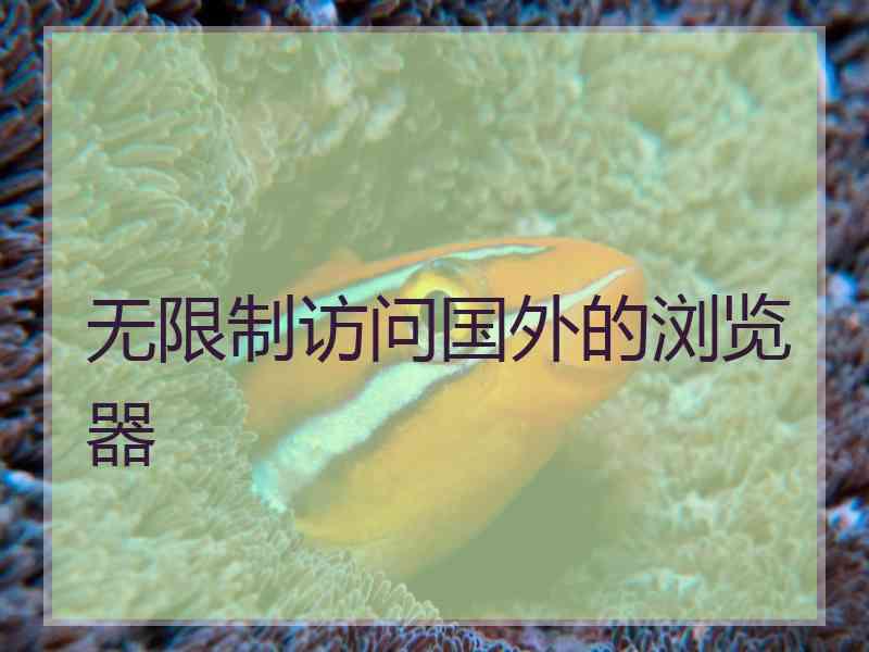 无限制访问国外的浏览器