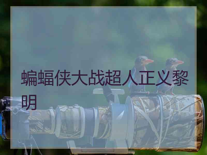 蝙蝠侠大战超人正义黎明