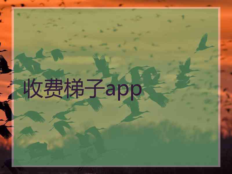 收费梯子app