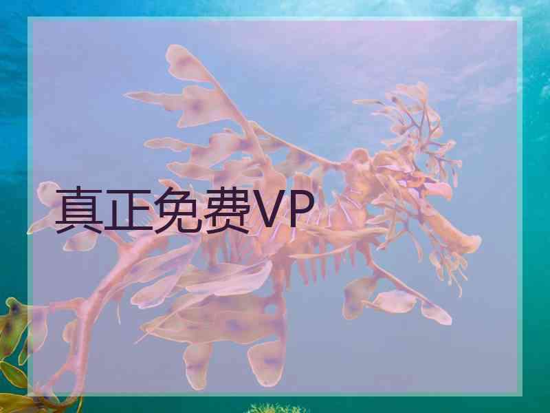 真正免费VP