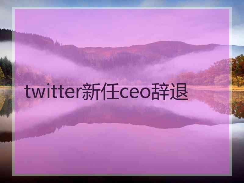 twitter新任ceo辞退