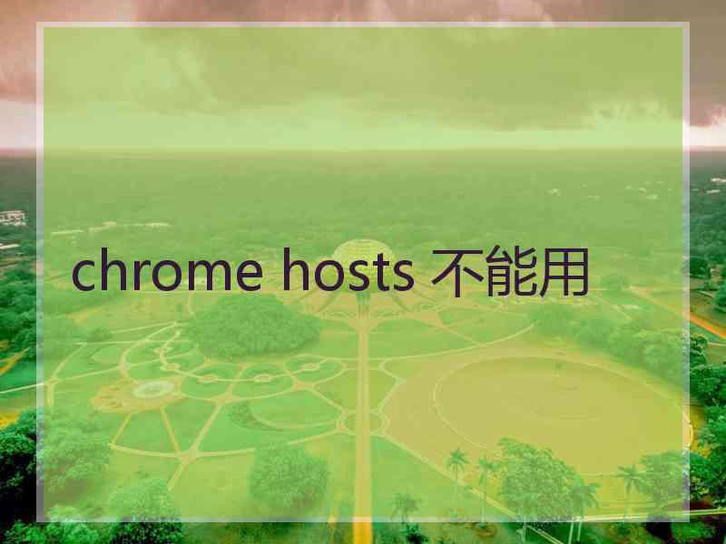 chrome hosts 不能用