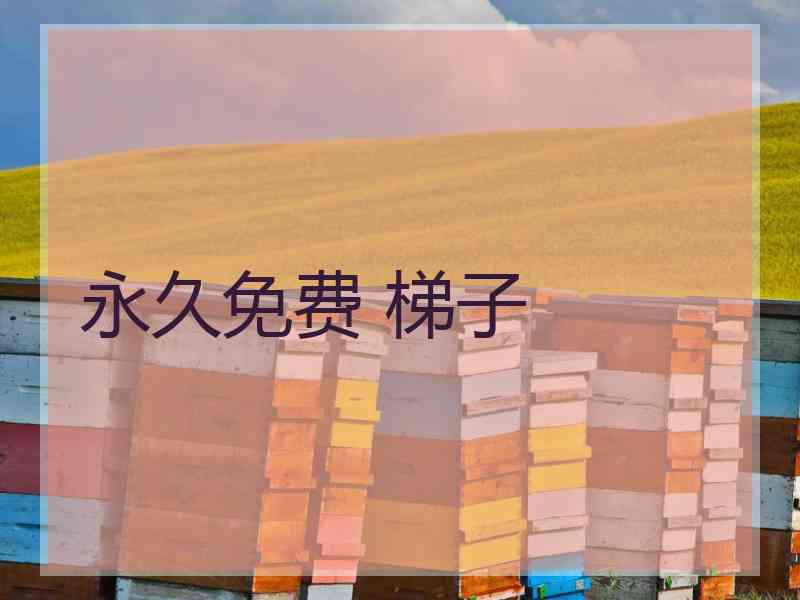 永久免费 梯子