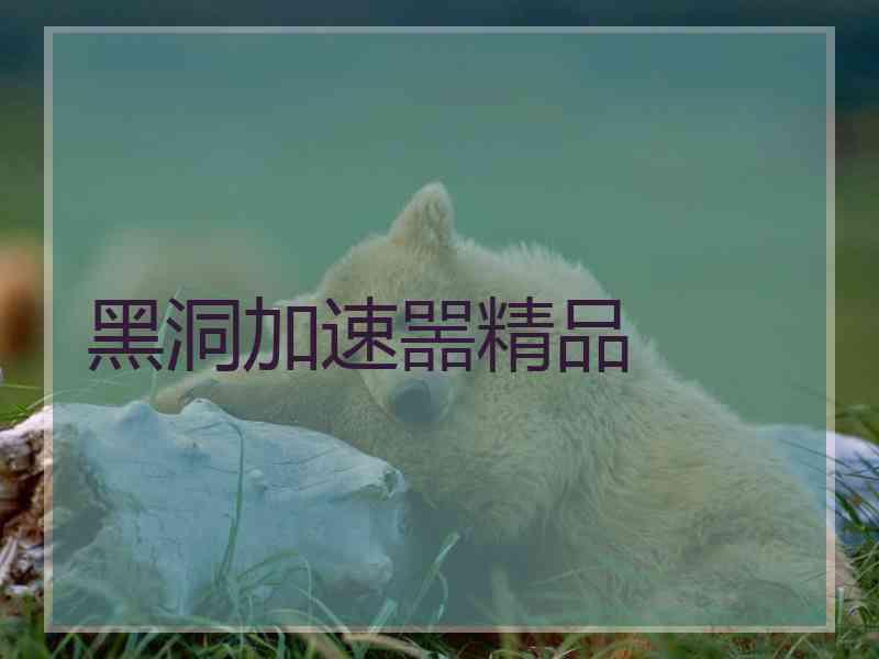 黑洞加速噐精品