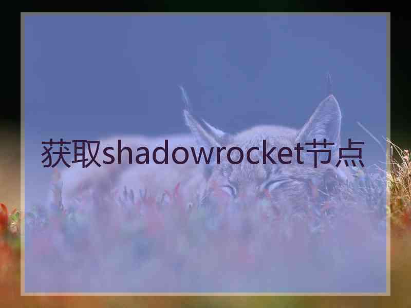 获取shadowrocket节点