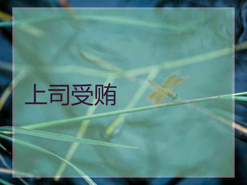 上司受贿