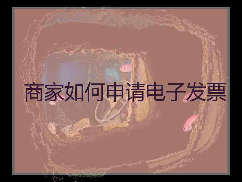 商家如何申请电子发票
