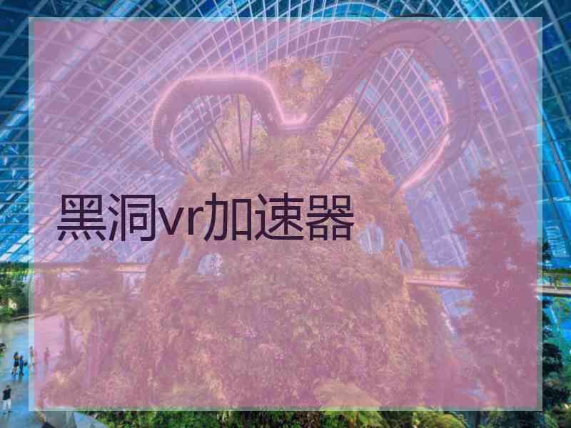 黑洞vr加速器