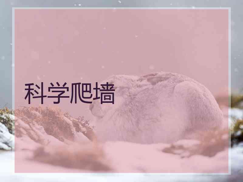 科学爬墙