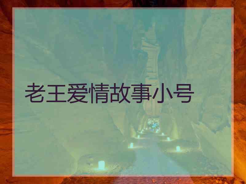 老王爱情故事小号