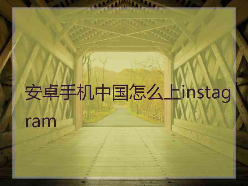 安卓手机中国怎么上instagram