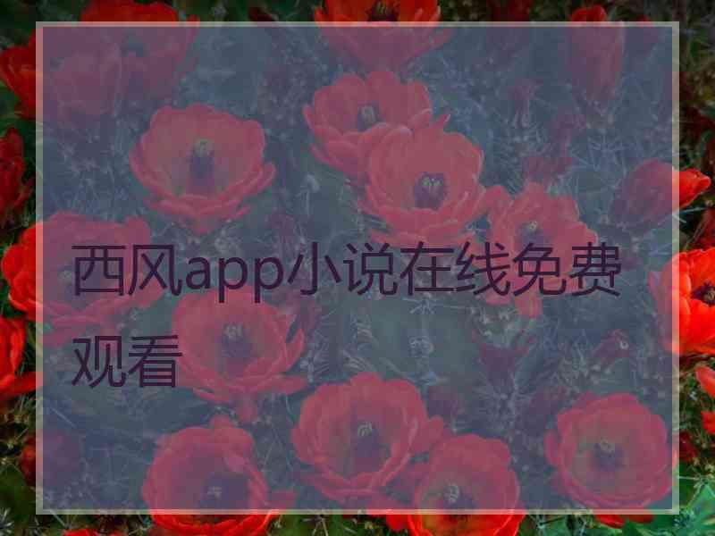 西风app小说在线免费观看