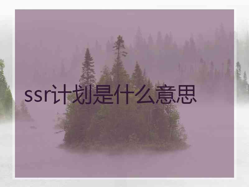 ssr计划是什么意思