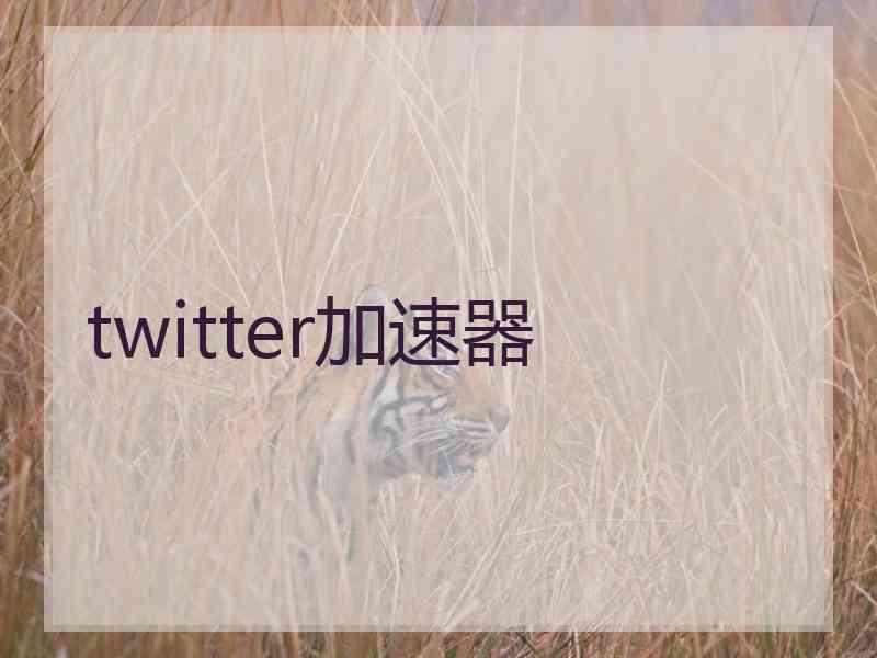 twitter加速器
