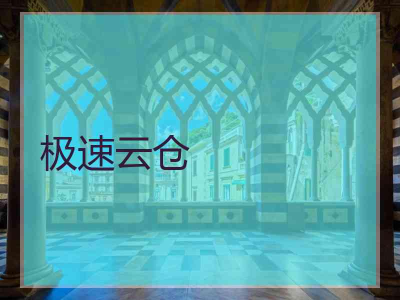 极速云仓