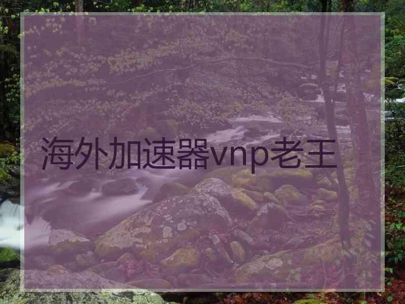 海外加速器vnp老王