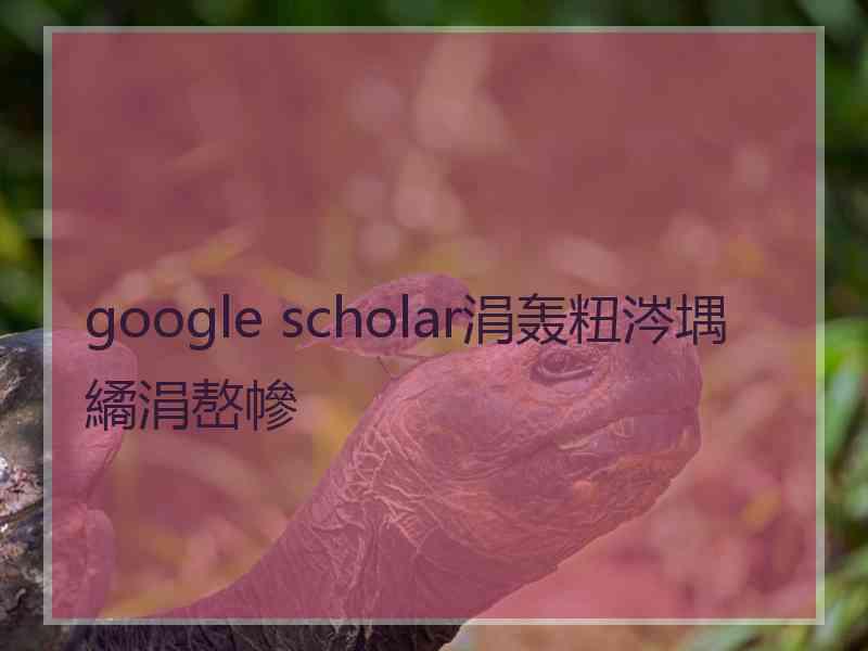 google scholar涓轰粈涔堣繘涓嶅幓