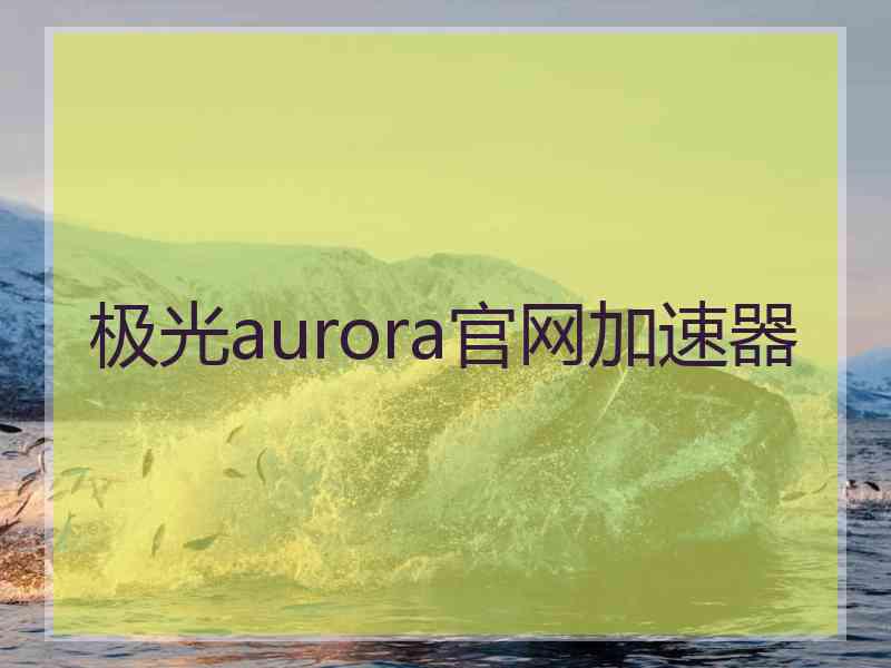 极光aurora官网加速器
