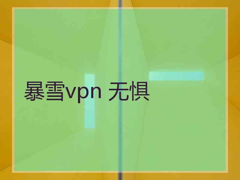 暴雪vpn 无惧