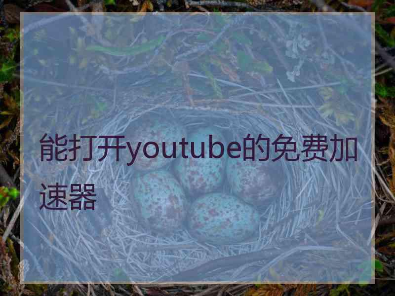 能打开youtube的免费加速器