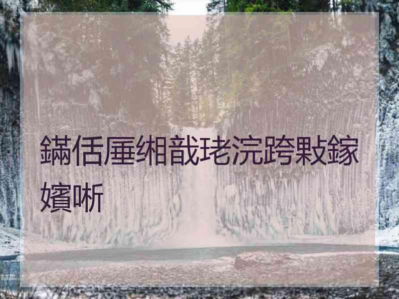 鏋佸厜缃戠珯浣跨敤鎵嬪唽