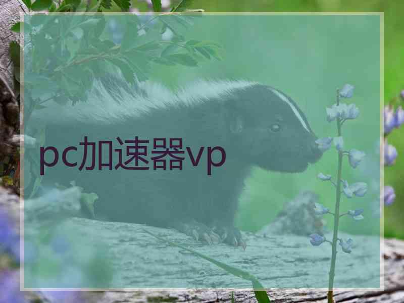 pc加速器vp