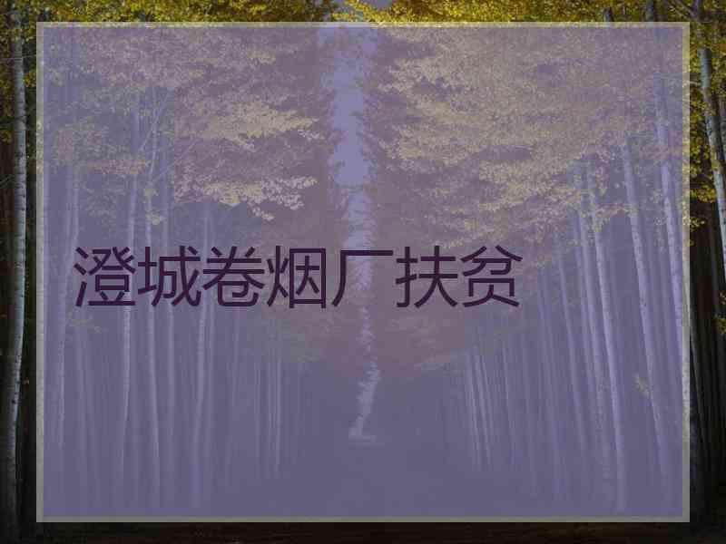 澄城卷烟厂扶贫