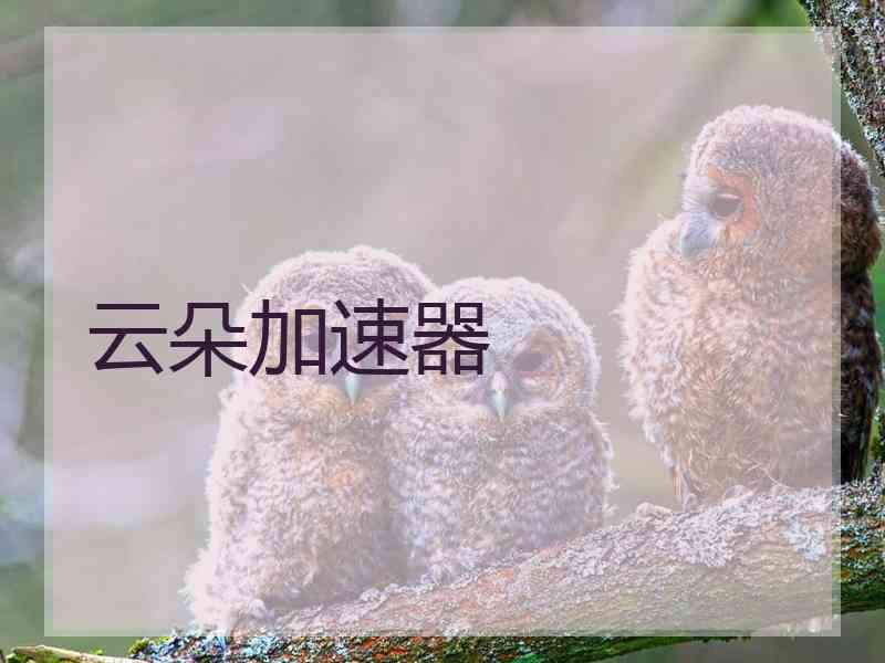 云朵加速器