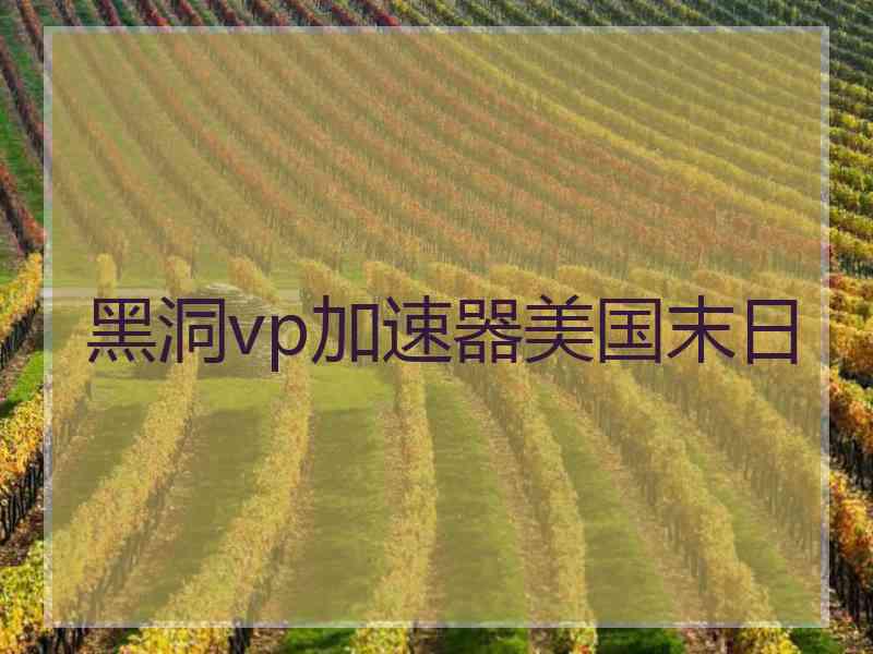 黑洞vp加速器美国末日