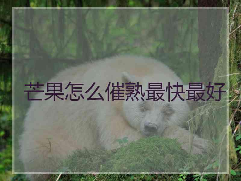 芒果怎么催熟最快最好