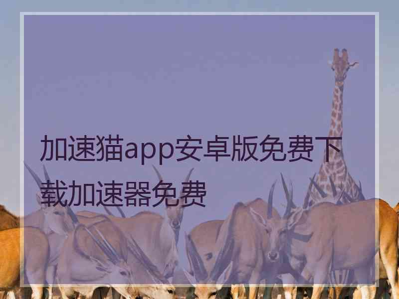 加速猫app安卓版免费下载加速器免费